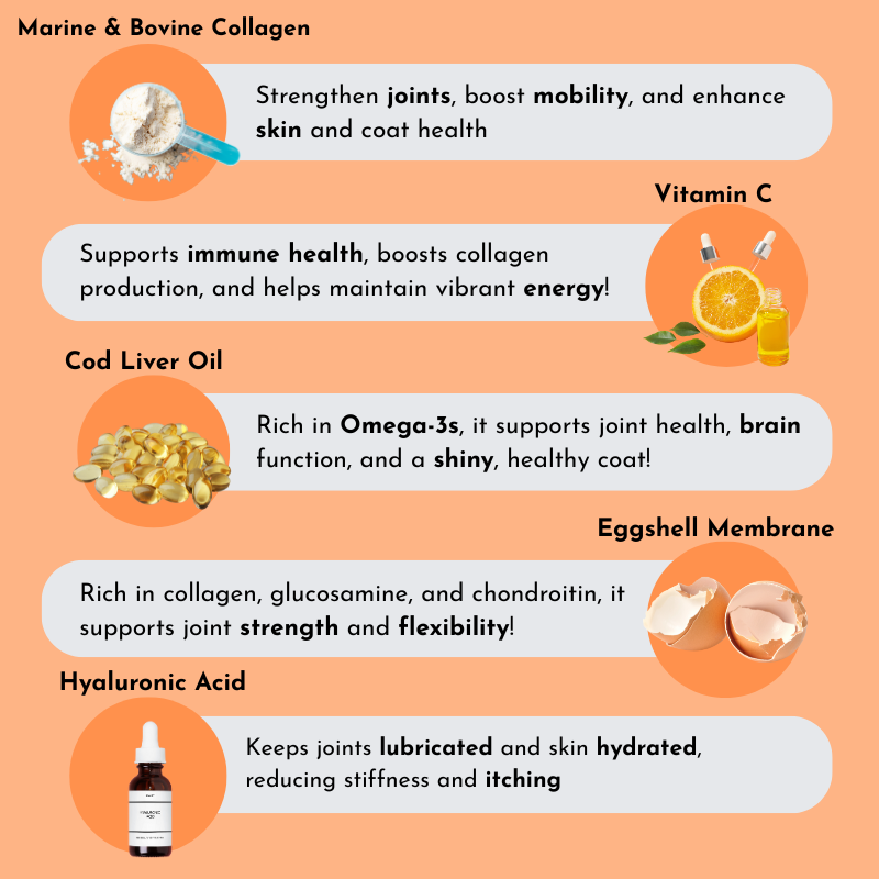 Collagen Soft Chews