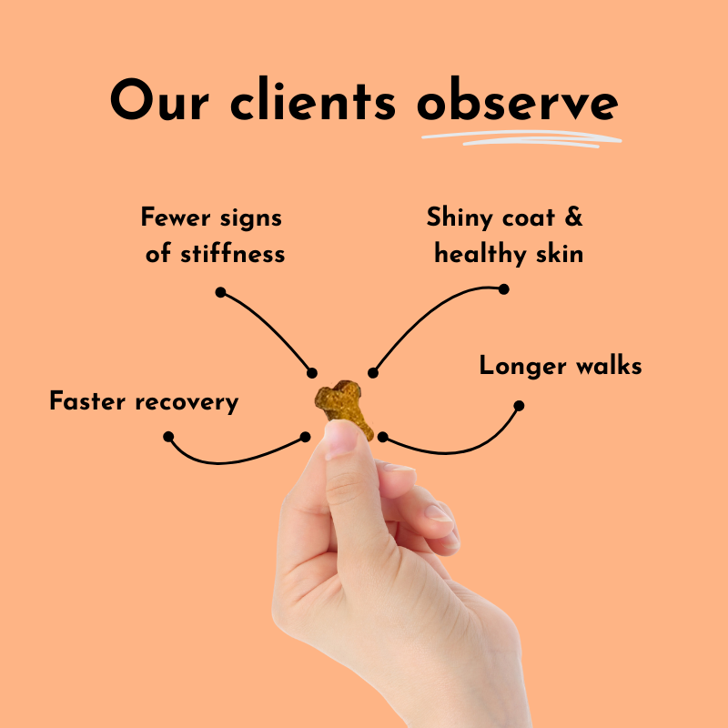 Collagen Soft Chews