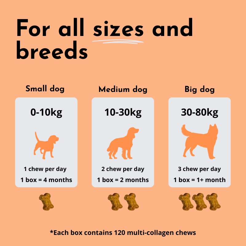 Collagen Soft Chews
